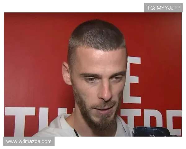 德赫亚谈远离赛场一年经历：收获成长与自我发现的最美好时光